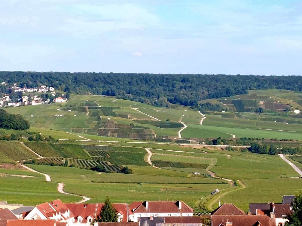 Epernay Capital De Champagne Apartamento Exterior foto